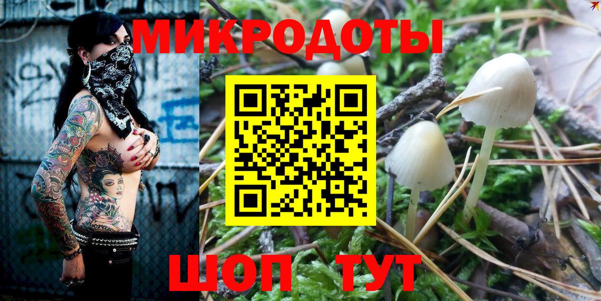 Сафоново  Псилоцибиновые грибы Psilocybine cubensis  где найти   Вход с VPN 