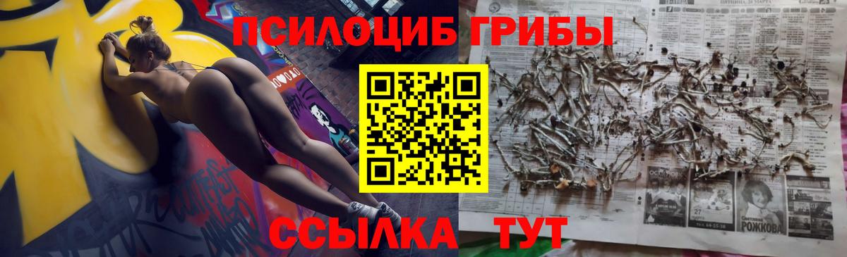 Галлюциногенные грибы Psilocybine cubensis Сафоново